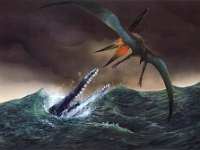 Stormy Seas
